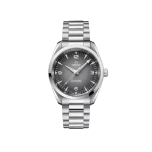 Seamaster Railmaster Ref. 235.10.38.20.06.001