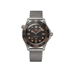 Omega Seamaster Ref# 210.90.42.20.01.001
