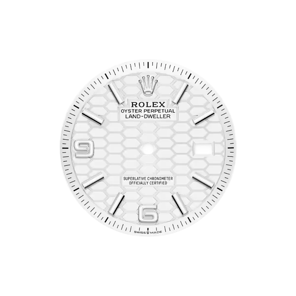 Rolex Land-Dweller 36 Ref. 127234 - Image 2