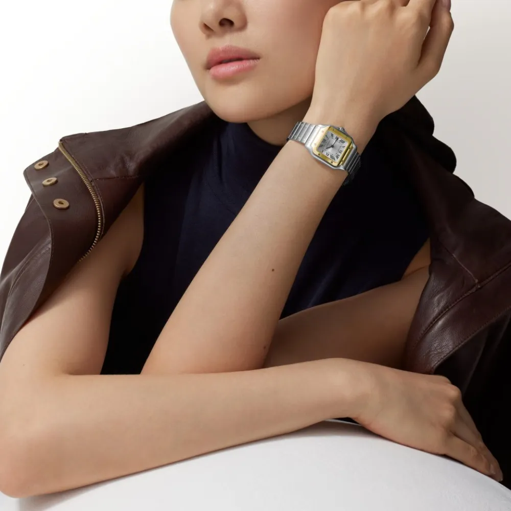 Santos de Cartier watch Ref. W2SA0033 - Image 5