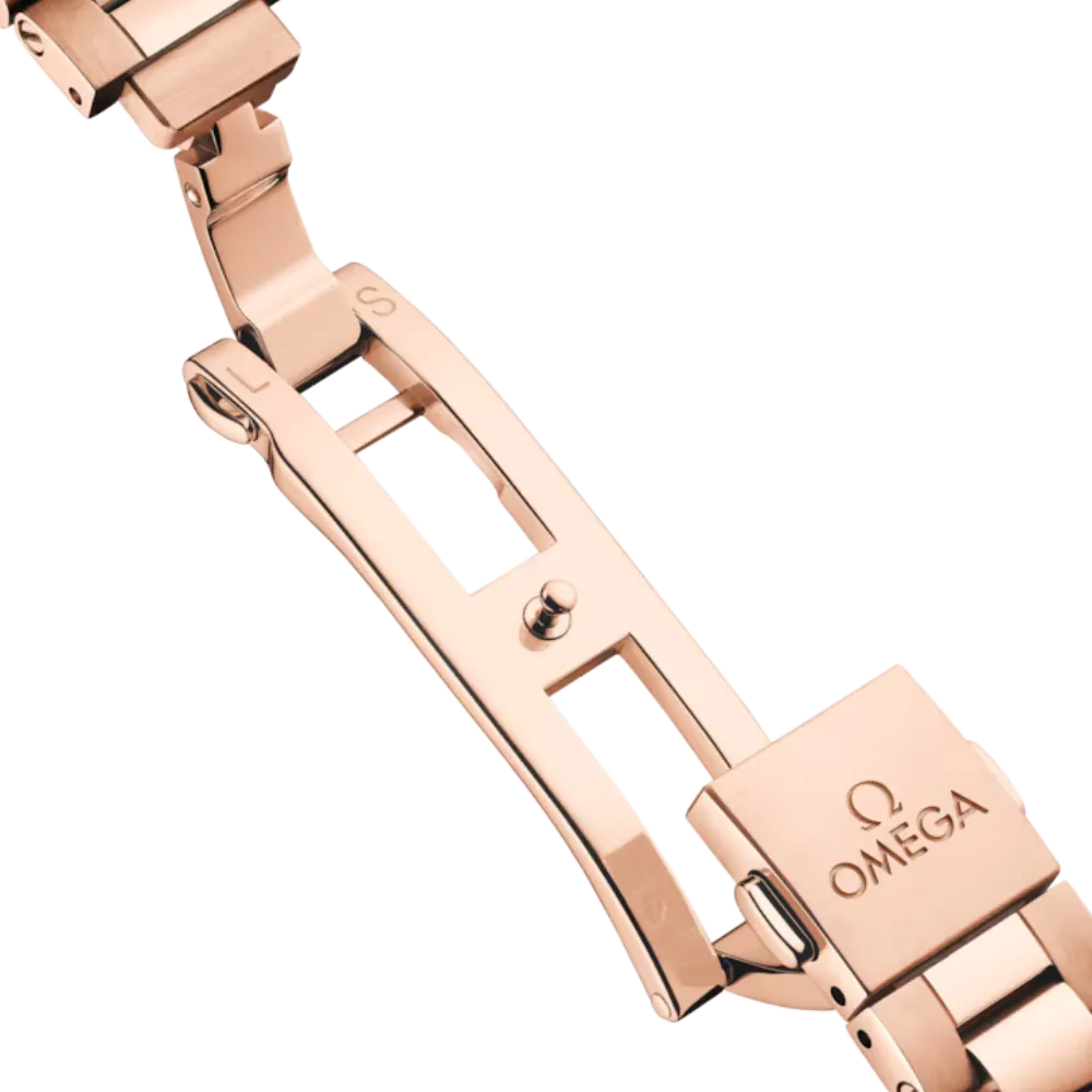 Seamaster Aqua Terra 150M 30 mm, Sedna Gold On Sedna Gold Ref. 220.50.30.20.09.001 - Image 3