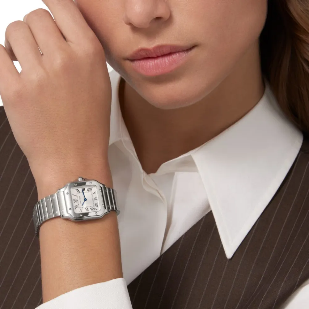 Santos de Cartier watch Ref. WSSA0082 - Image 6