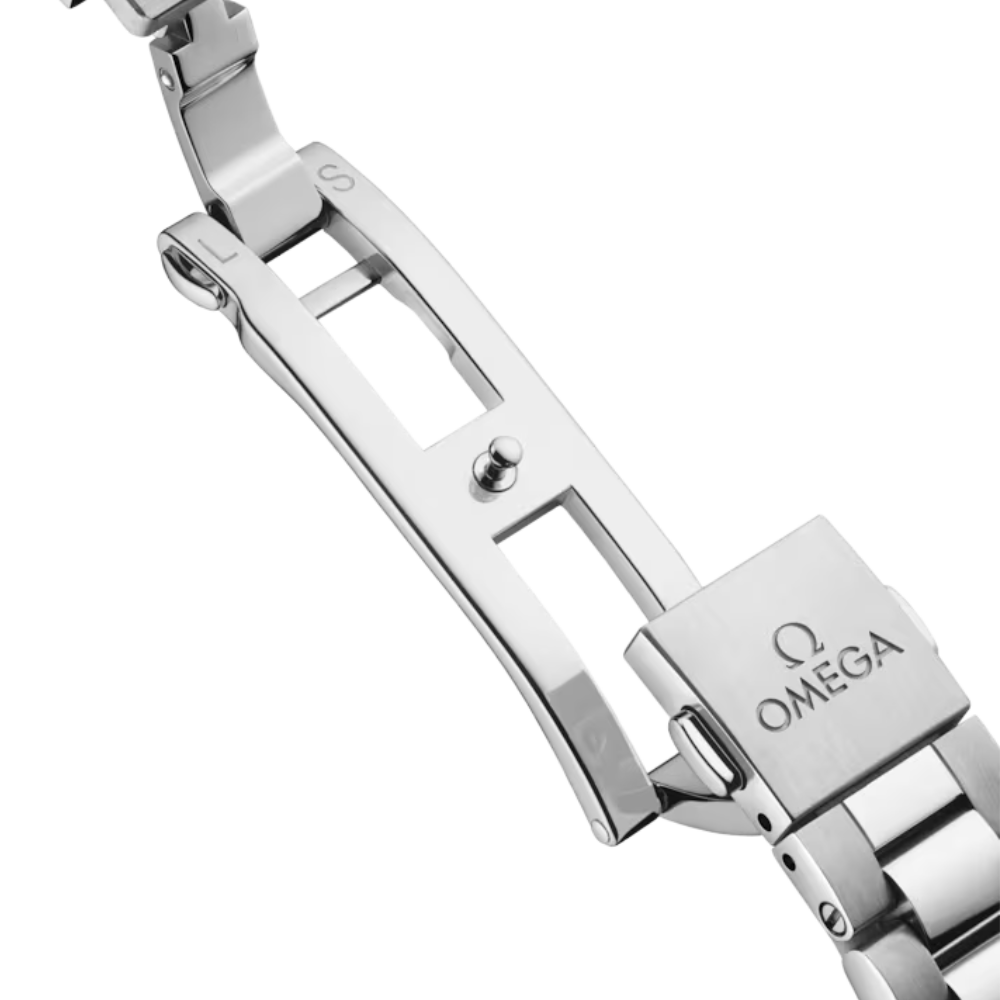 Seamaster Aqua Terra 150M 30 mm, steel on steel Ref. 220.10.30.20.01.001 - Image 8