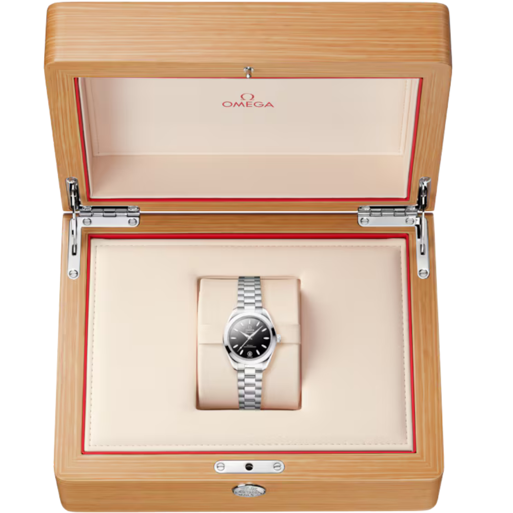 Seamaster Aqua Terra 150M 30 mm, steel on steel Ref. 220.10.30.20.01.001 - Image 9